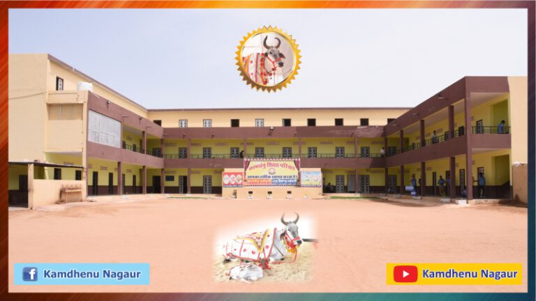 Why Kamdhenu Vidya Mandir Nagaur (4)